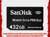 SanDisk 32 GB Memory Stick Pro Duo Flash Memory Card SDMSPD-032G-A11