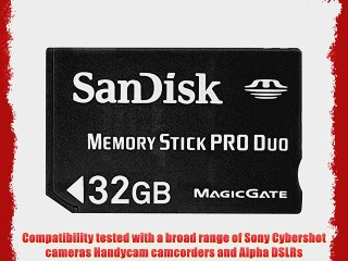 Download Video: SanDisk 32 GB Memory Stick Pro Duo Flash Memory Card SDMSPD-032G-A11