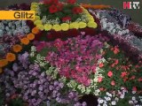 Glitzs - Flower Show - Frere Hall