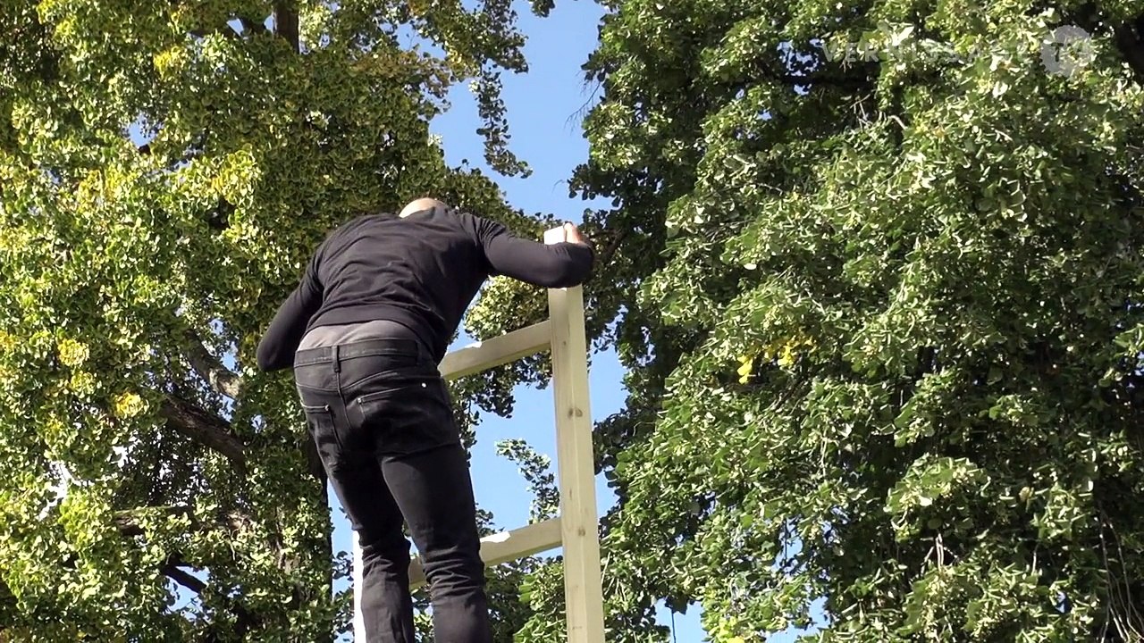Lynsey Peisinger: In the Field. Performance at Fondation Beyeler