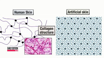 Descargar video: Korean-American scientist develops smart skin