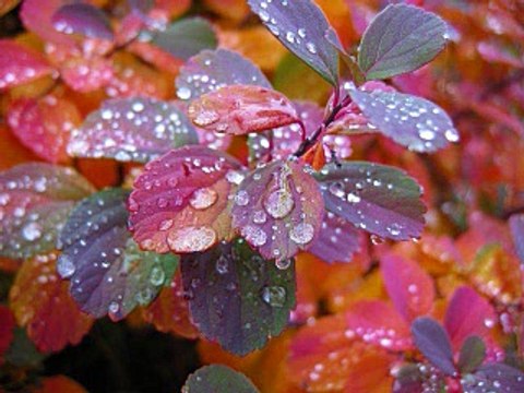 82. Nabi Ka Jism Mubarak/islahi bayanat by hafiz muhammad ibrahim naqshbandi khalifa e majaz peer hafiz muhammad zulfiqar db