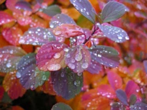 84. Nabi Hamare Liye Behtareen Namoona Hain/islahi bayanat by hafiz muhammad ibrahim naqshbandi khalifa e majaz peer hafiz muhammad zulfiqar db