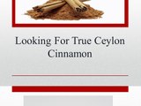 Looking For True Ceylon Cinnamon