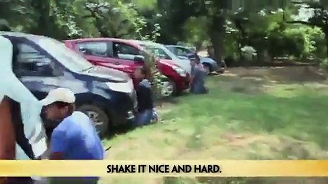 Dancing Cars in PK Movie Behind The scene