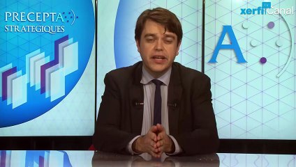 Xerfi Canal, Comprendre la "longue traîne"