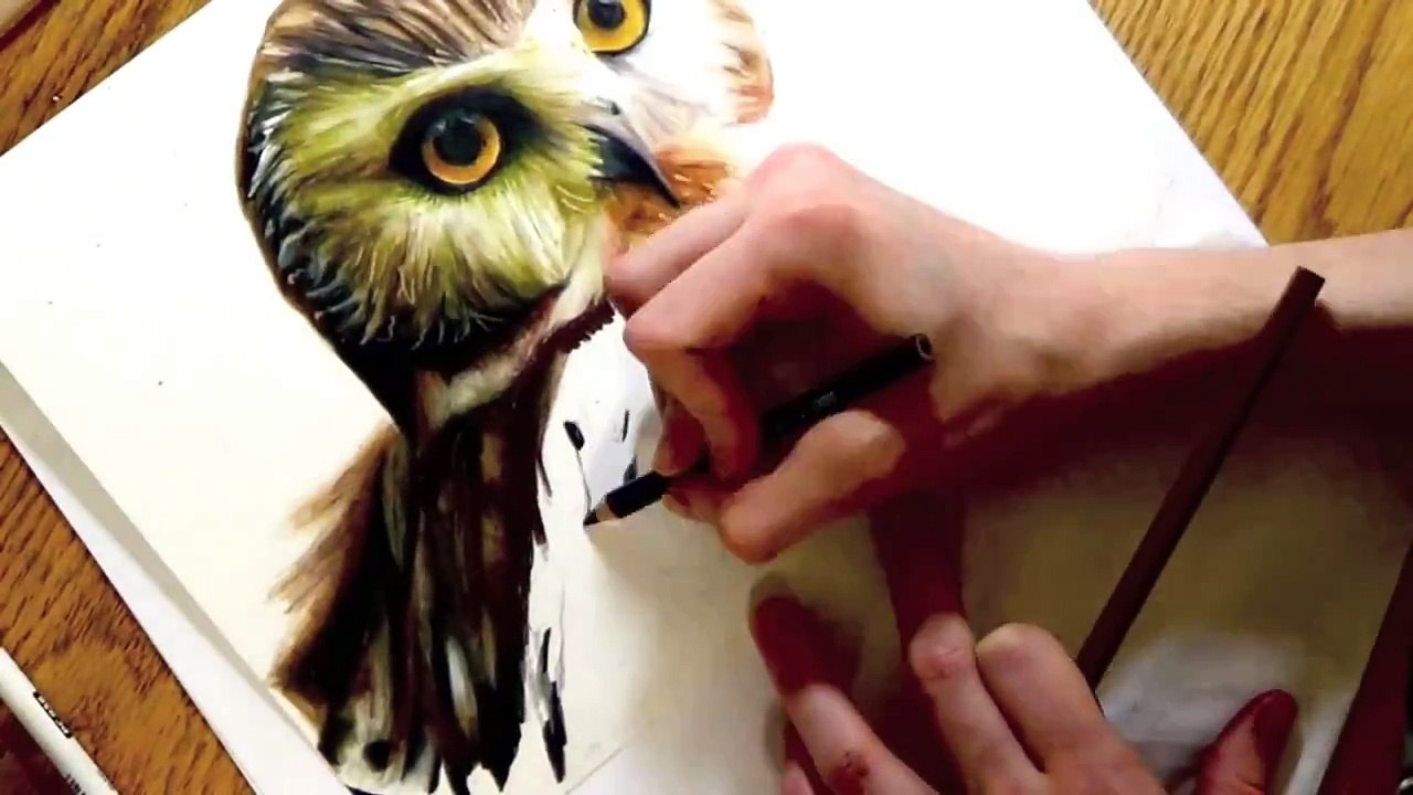 Realistic Drawing of an Owl