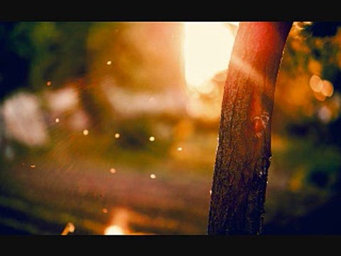 95. Sakhi Aadmi/islahi bayanat by hafiz muhammad ibrahim naqshbandi khalifa e majaz peer hafiz muhammad zulfiqar db