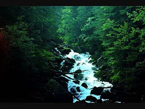 102. Sunnat Zinda Karna/islahi bayanat by hafiz muhammad ibrahim naqshbandi khalifa e majaz peer hafiz muhammad zulfiqar db