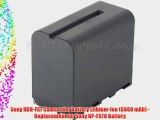 Sony HDR-FX7 Camcorder Battery Lithium-Ion (6900 mAh) - Replacement for Sony NP-F970 Battery