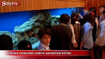 AVM'den esinlendi camiye akvaryum koydu