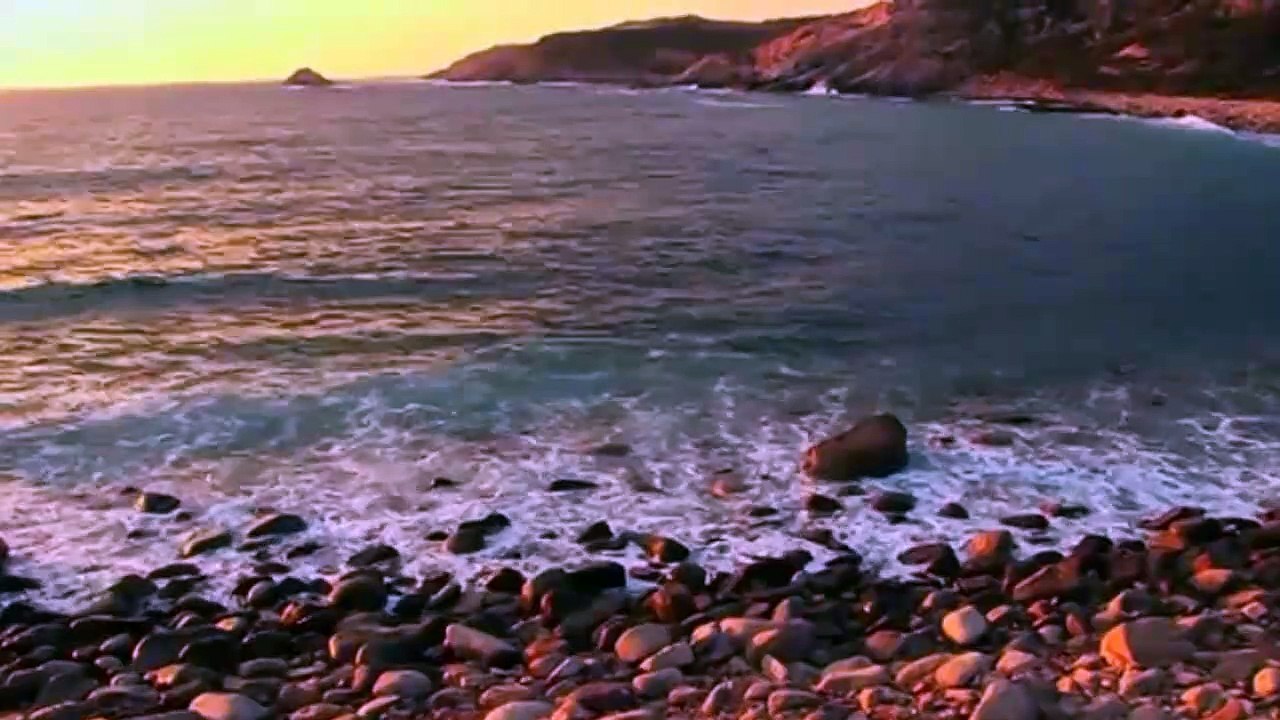 Erva venenosa Rita Lee  Cover.