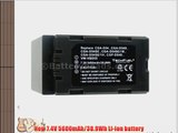Panasonic NV-DS50A Camcorder Replacement Battery - TechFuel Professional CGA-D54 CGR-D54 VW-VBD55