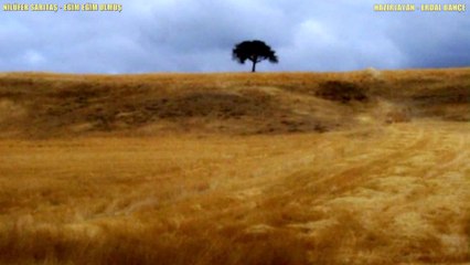 NİLÜFER SARITAŞ-EĞİM EĞİM OLMUŞ