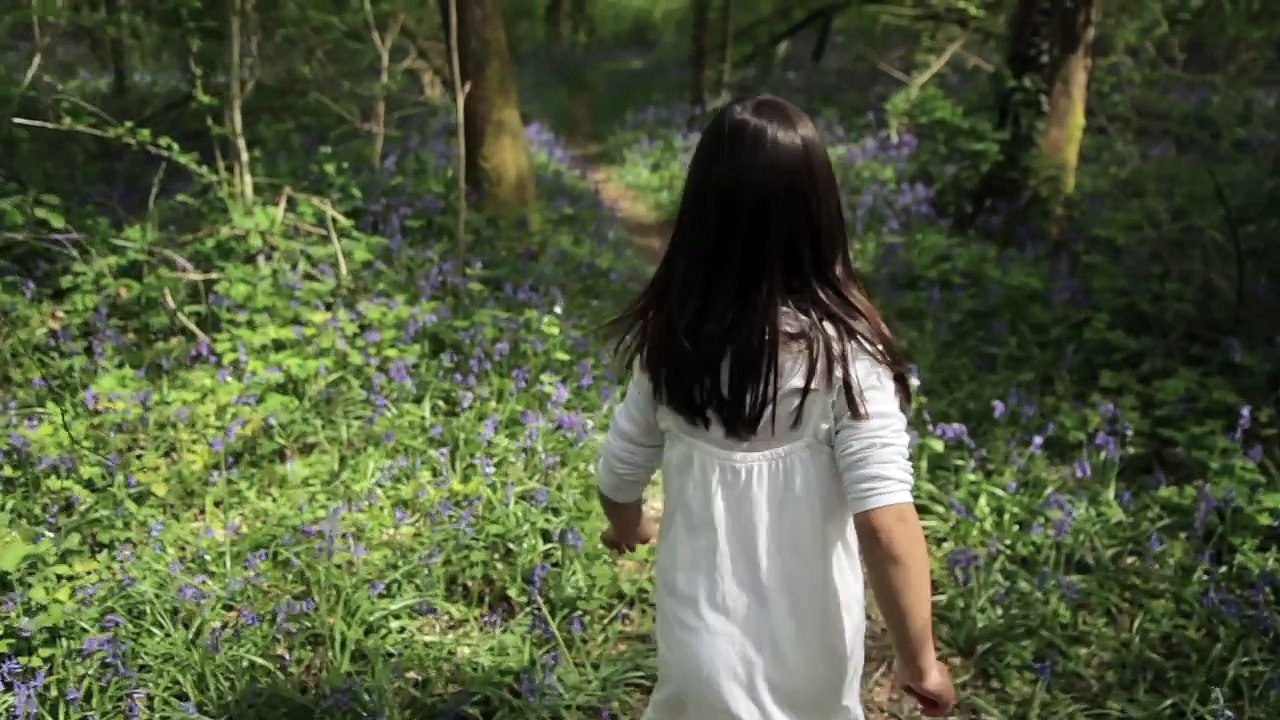 Compostelle, Le chemin de la vie / Compostelle, Le chemin de la vie (2015) - Trailer French