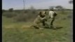 Wild boar kills a Man- Giant boar attack. Awesome kill shots