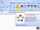 Lesson # 51 The Insert Smart Art (Microsoft Office Excel 2007_2010 Tutorial)