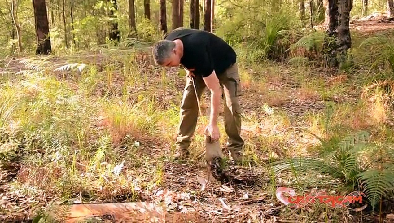 Winter Herping!!!! - CrittaCam