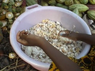 Les Mains du chocolat