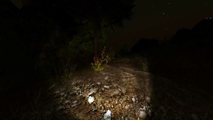 New Indie Horror Games Forest Gameplay The Real Ghost