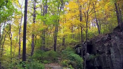 Turkish Instrumental Music...