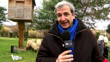 Nouvelle transhumance à Saint-Prix