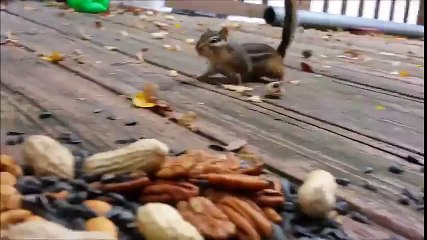 Do you ever think about how to transfer food