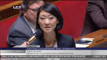 Parlement’air - Questions au gouvernement : Séance du mercredi 25 mars 2015
