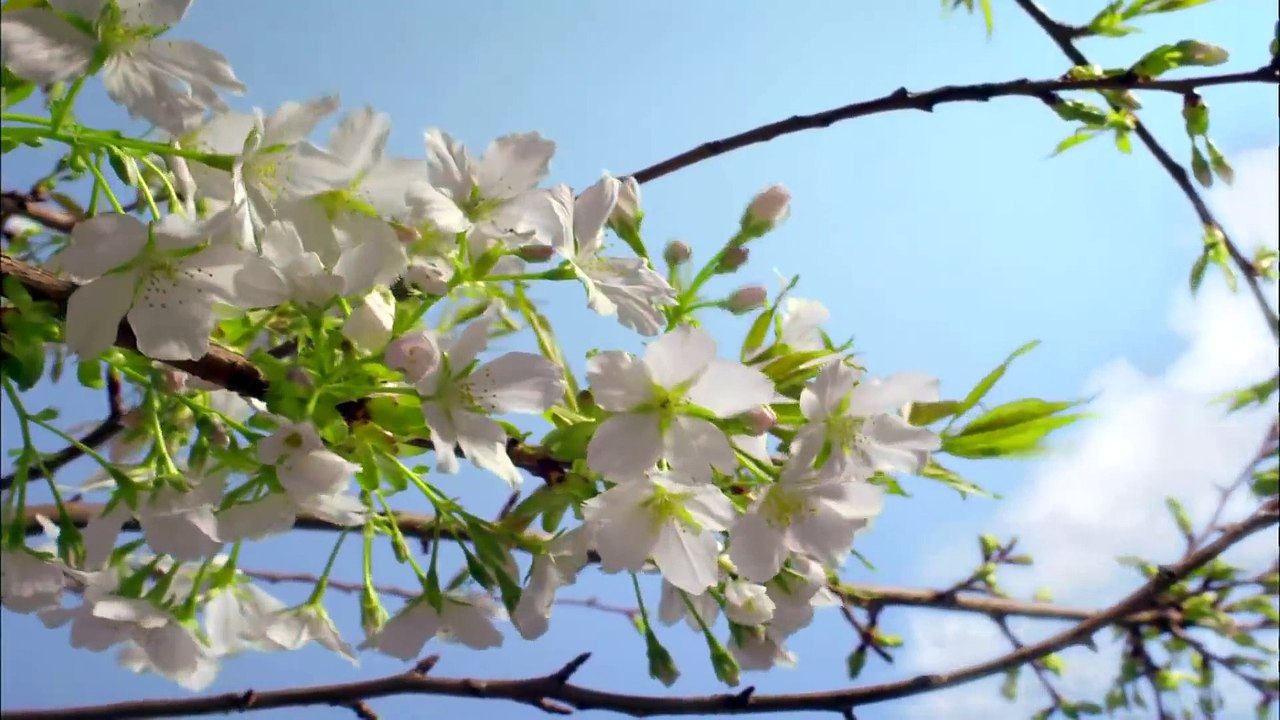 Планета Земля . Удивительный природный пейзаж