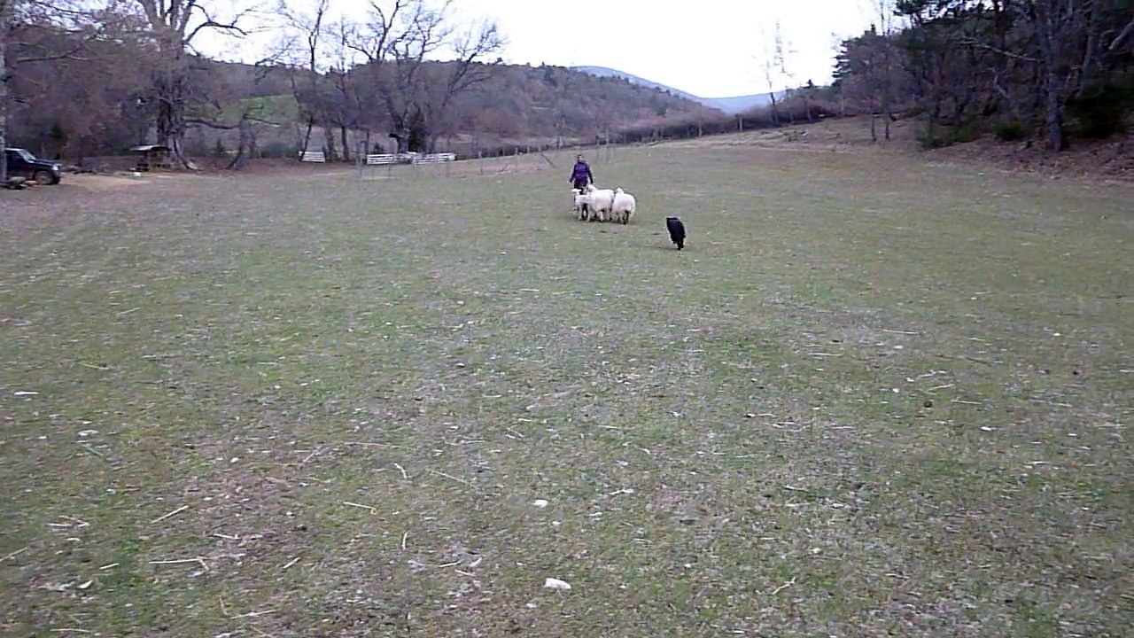 Intox 19 mois, stage Jolly mars 2015 -