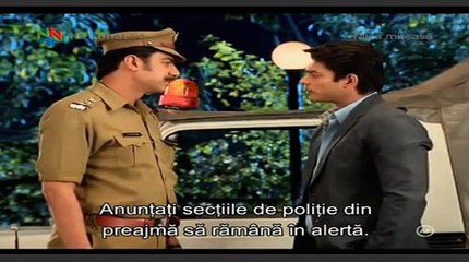 myrmic25 2015-03-25 19-17-56-367