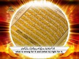 Surah Ash Shams -Qari Sayed Sadaqat Ali  Holy Quran