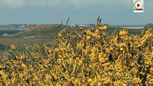 Île de Hoëdic | I Love Hoëdic | Île de Hoëdic TV