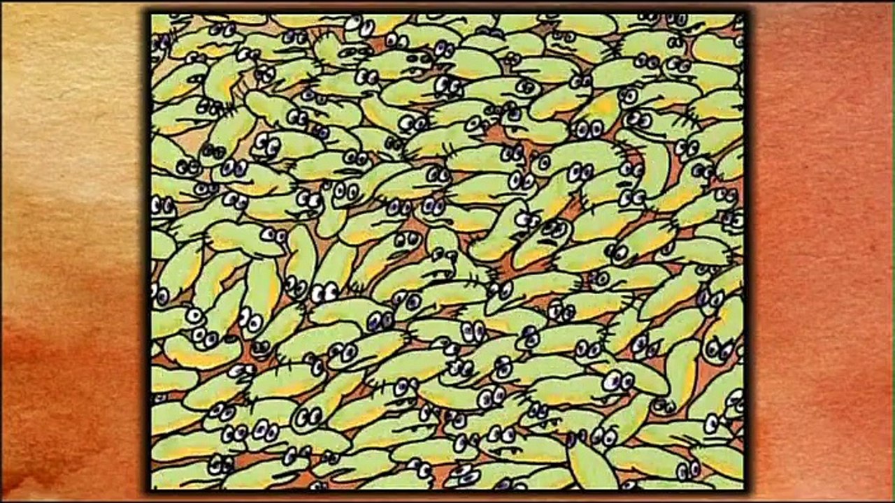 Viande, alerte aux antibios