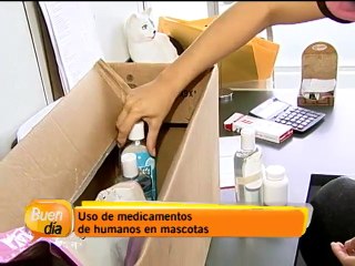 Uso de medicamentos de humanos en mascotas