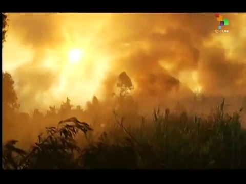 Chile declares Red Alert over raging forest fires