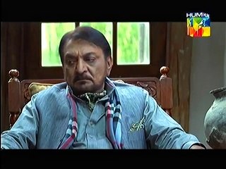 Diyar E Dil Episode 2 on Hum Tv - 24th March 2015 part 1