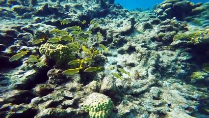 Welcome to Grand Cayman