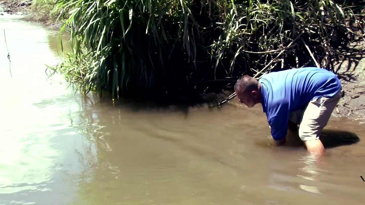 'Krokodilmann' begeistert Touristen in Costa Rica