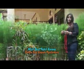 WIJIL PACE ity ashella @ album lagu tarling baru 2014