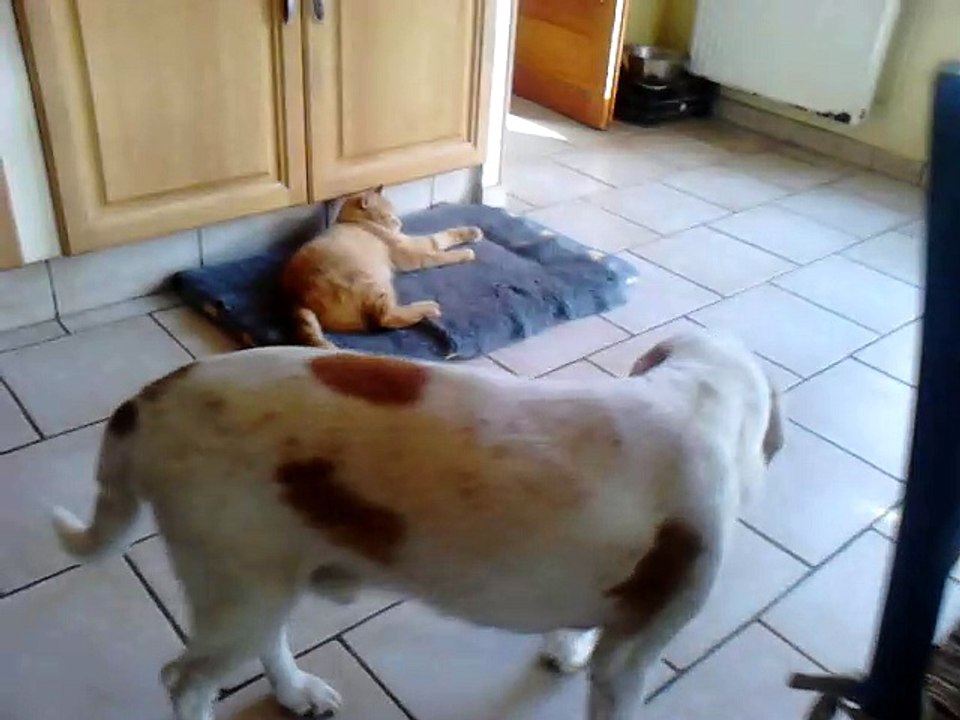 Max avec Popo
