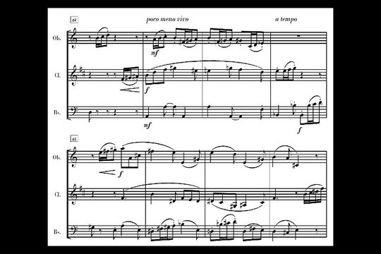 Sterne : Divertimento No.1, op.152 pour hautbois, clarinette et basson