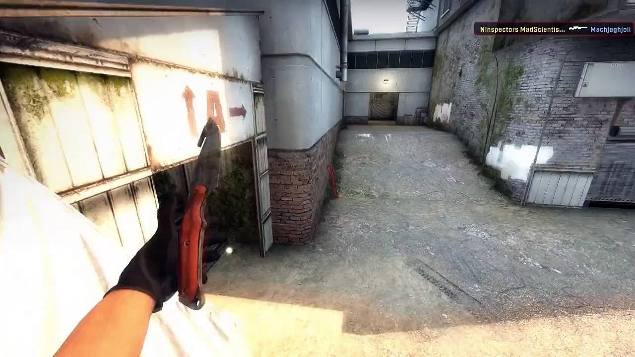 Counter-Strike: Global Offensive |Montage|Horrorcore|720p HD|