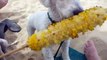 Bichon Frise Dog wants Corn on Bophut Beach Ko Samui Thailand