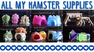 All my hamster supplies | March 2015