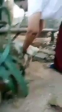 Cette Poule est Unique au Monde ! Elle se promène avec 4 Pattes