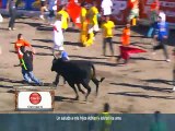 Toros amenizaron el primer día del año