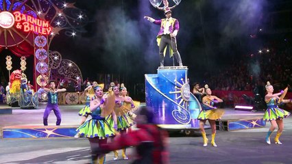El polémico trabajo de elefantes en circos