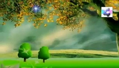 soñar que ves u observas a una pareja de enamorados  significado de los sueños español latin
