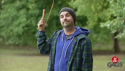 Teasing Dogs With a Drone